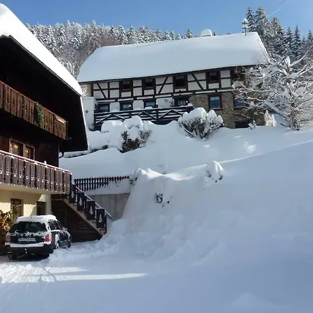 Haus Biehler Apartamento Todtmoos